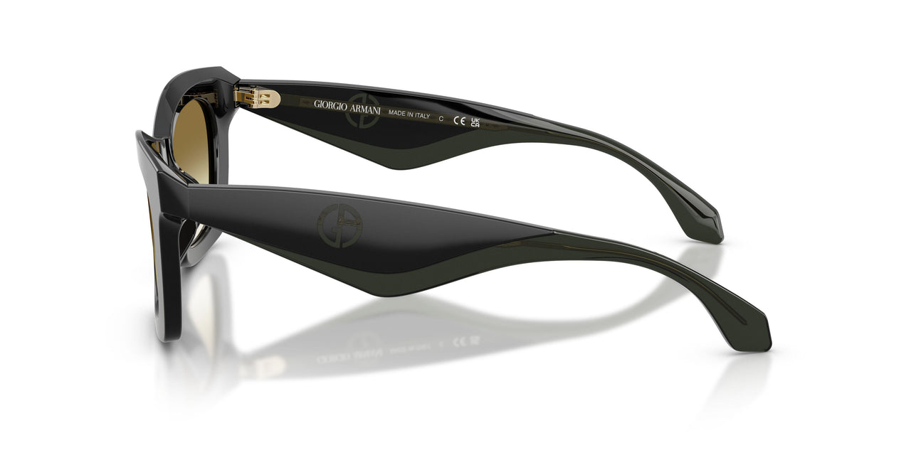 50018E - Black - Clear Gradient Dark Green