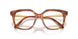 1091 - Brown