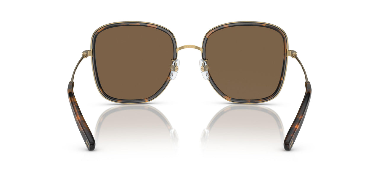 336373 - Tortoise - Brown Gradient