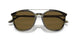 603873 - Green - Dark Brown
