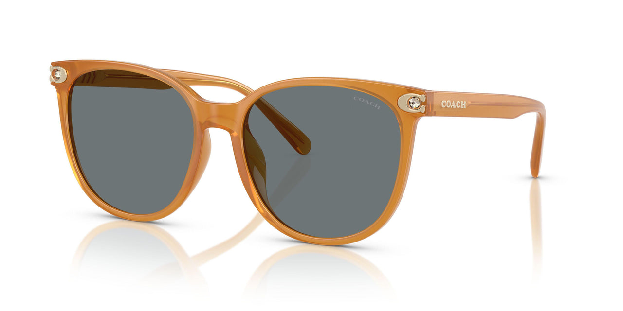 585580 - Orange - Grey Solid