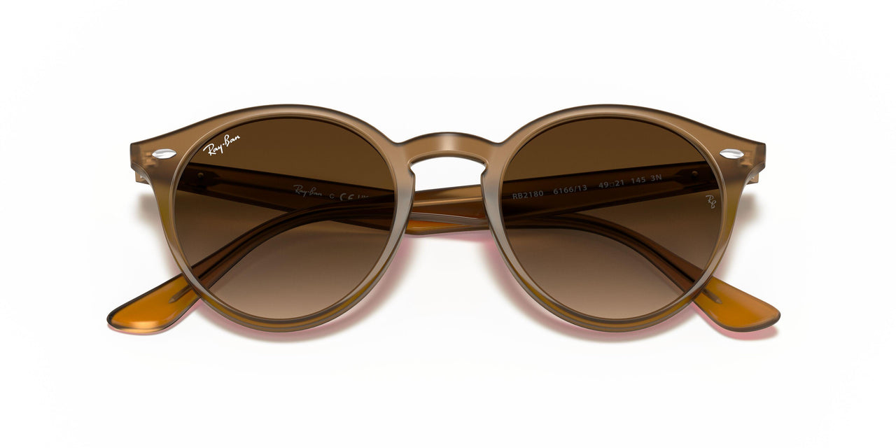 616613 - Turtledove - Brown Gradient
