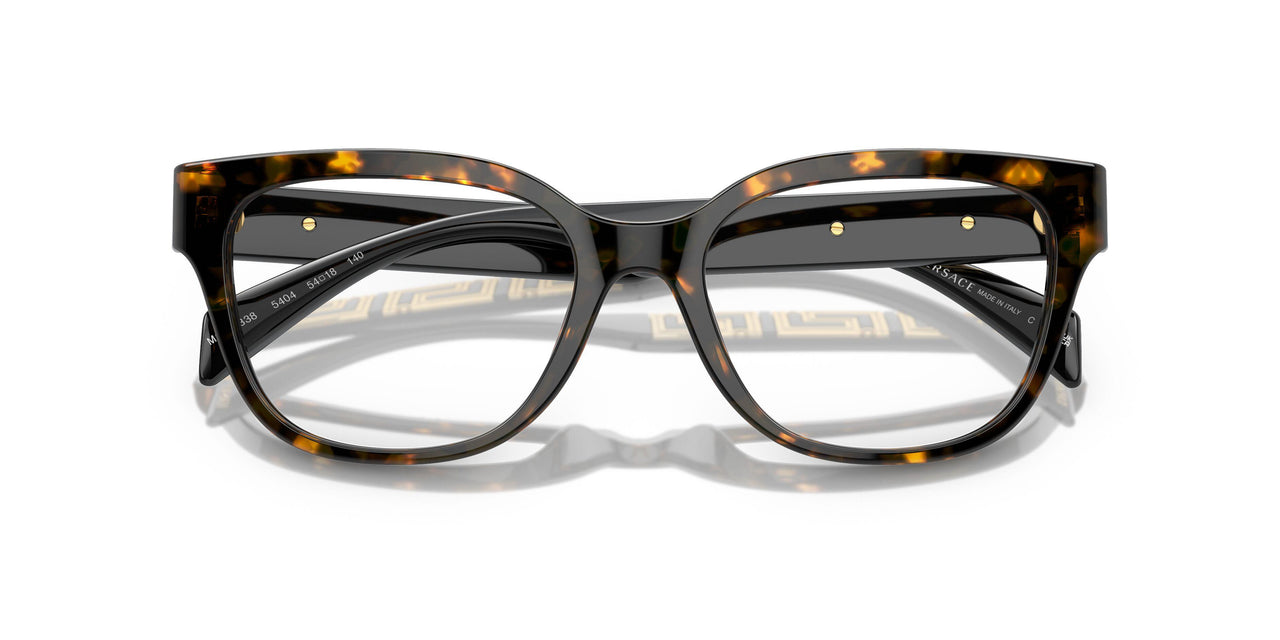 5404 - Tortoise