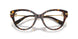 502 - Tortoise