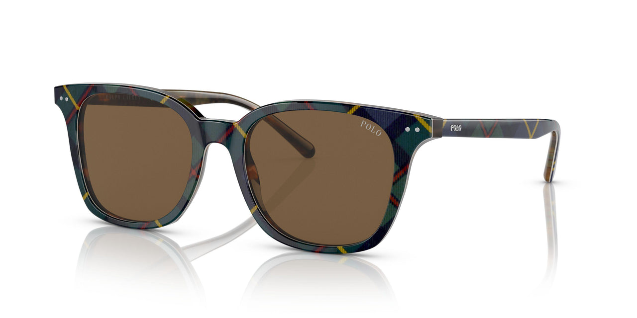 562573 - Multi - Brown