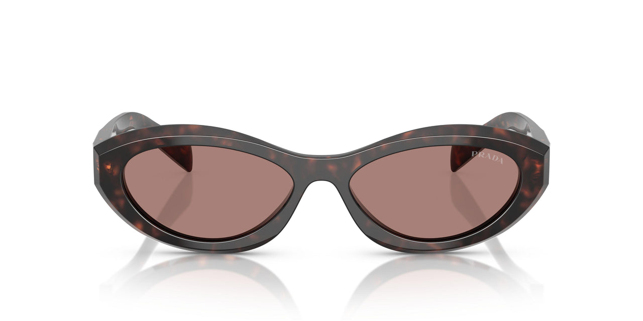 17N60B - Tortoise - Light Brown