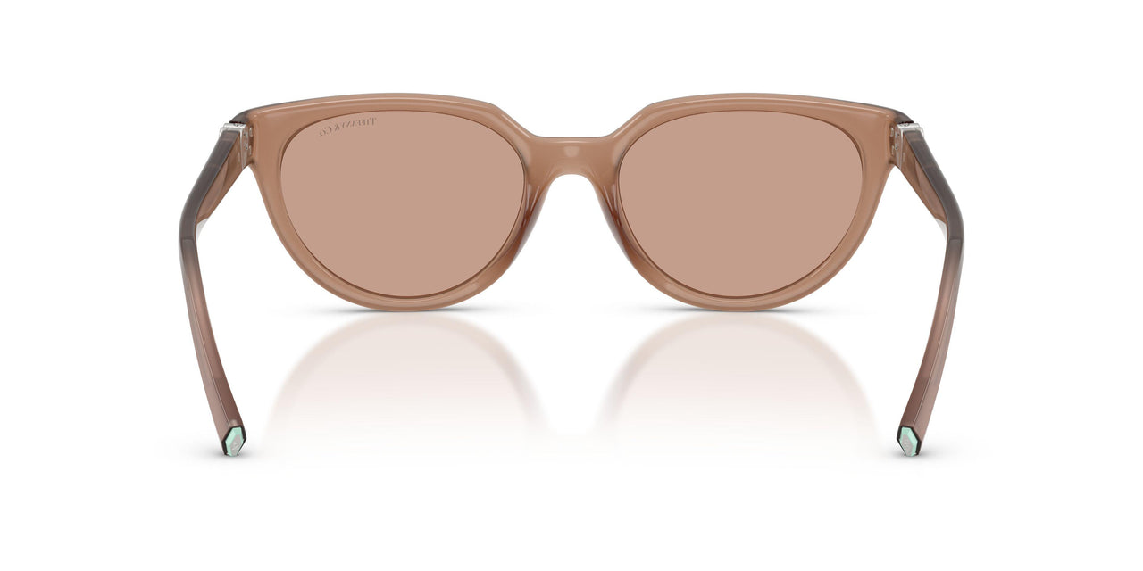 844973 - Brown - Brown