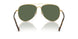 280/9A - Gold - Dark Green Polarized