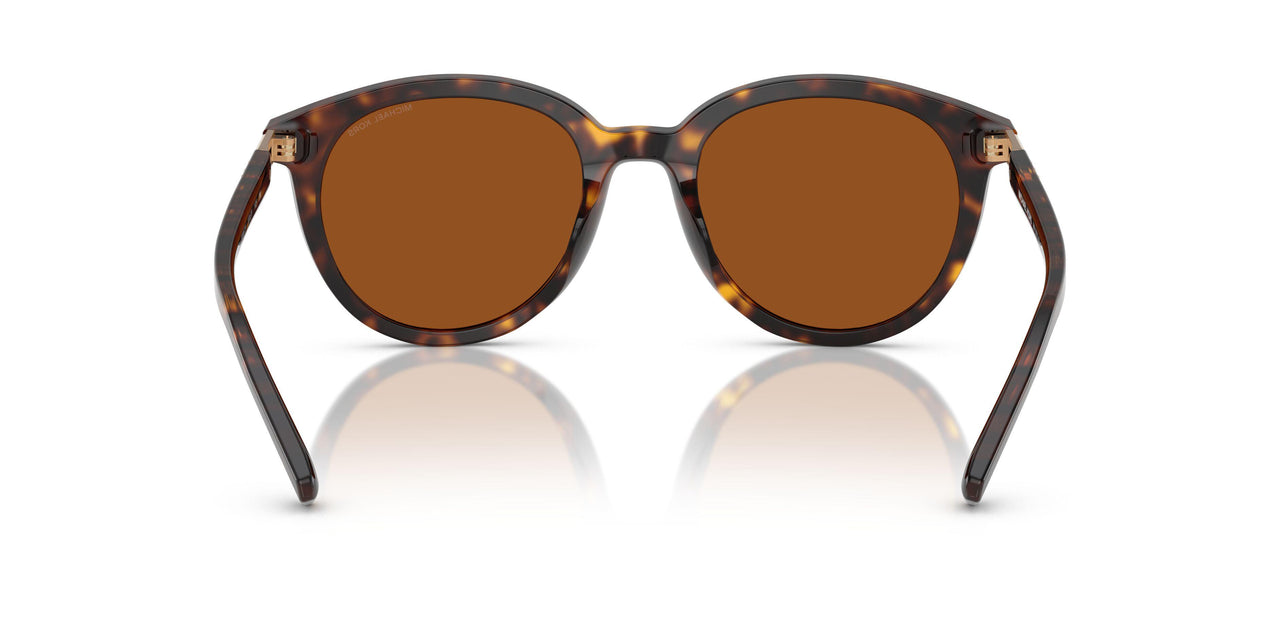 300673 - Tortoise - Brown Solid