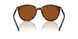 300673 - Tortoise - Brown Solid