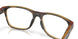 802404 - Tortoise