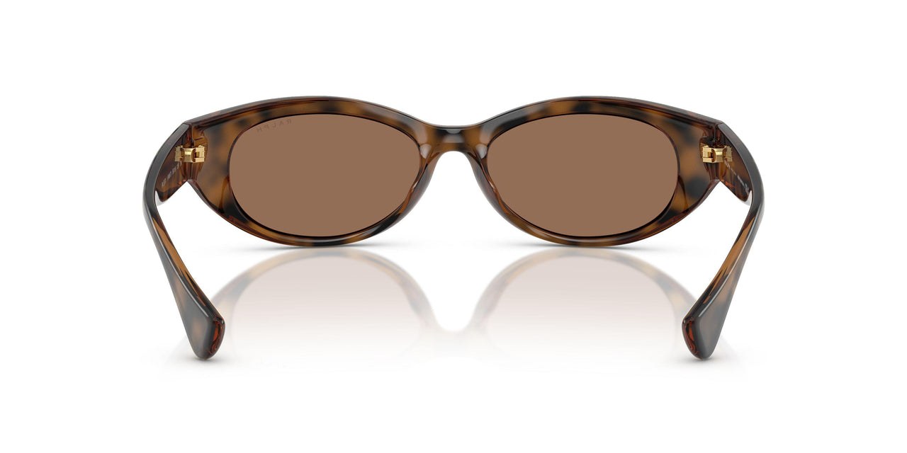 614973 - Tortoise - Dark Brown