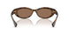 614973 - Tortoise - Dark Brown