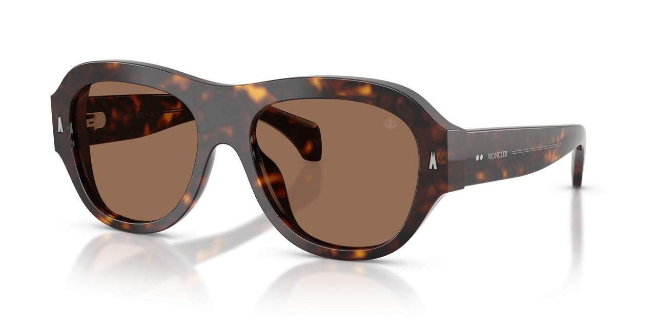 300273 - Tortoise - Brown Solid