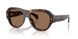 300273 - Tortoise - Brown Solid