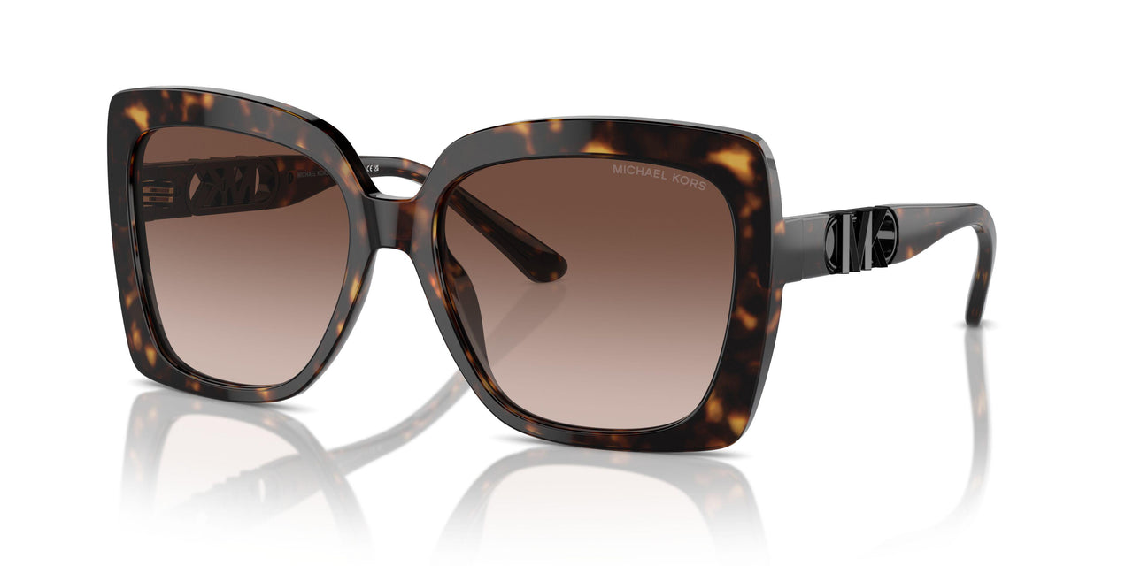 300613 - Tortoise - Brown Gradient