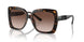 300613 - Tortoise - Brown Gradient