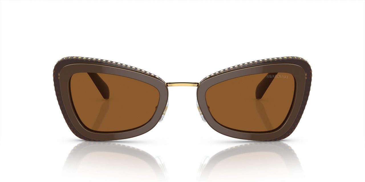 101173 - Brown - Dark Brown