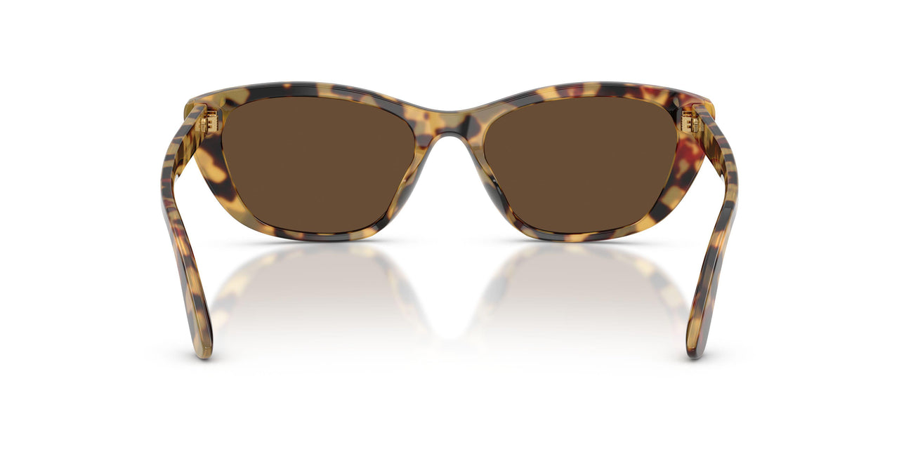 512/73 - Tortoise - Dark Brown