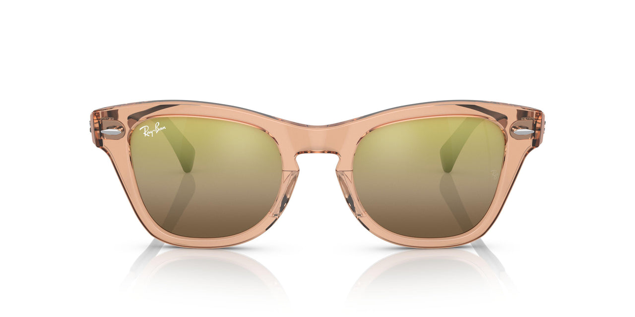 6449G7 - Light Brown - Brown Vintage