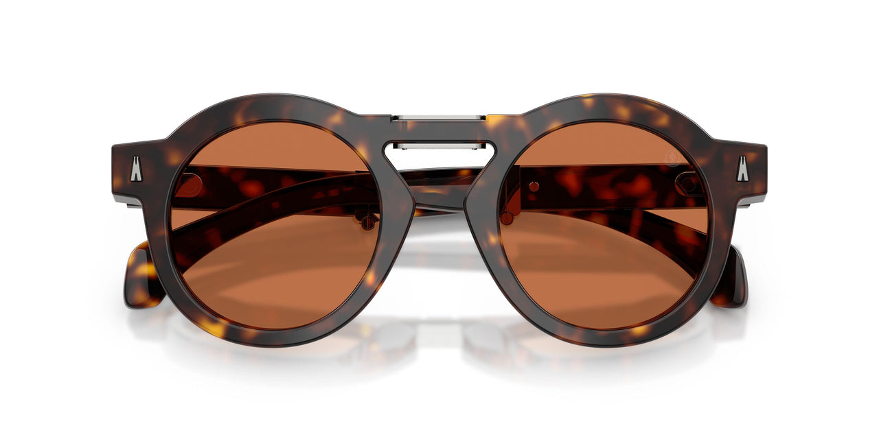 300273 - Tortoise - Brown Solid