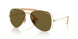 001/73 - Gold - Dark Brown
