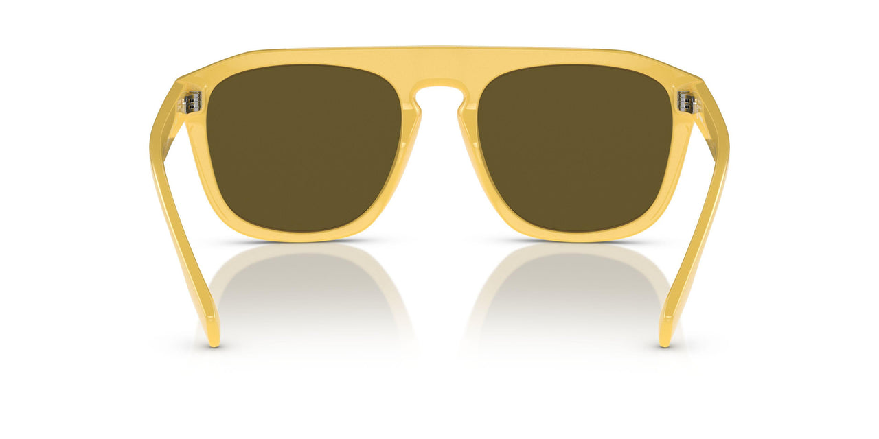 407073 - Yellow - Dark Brown