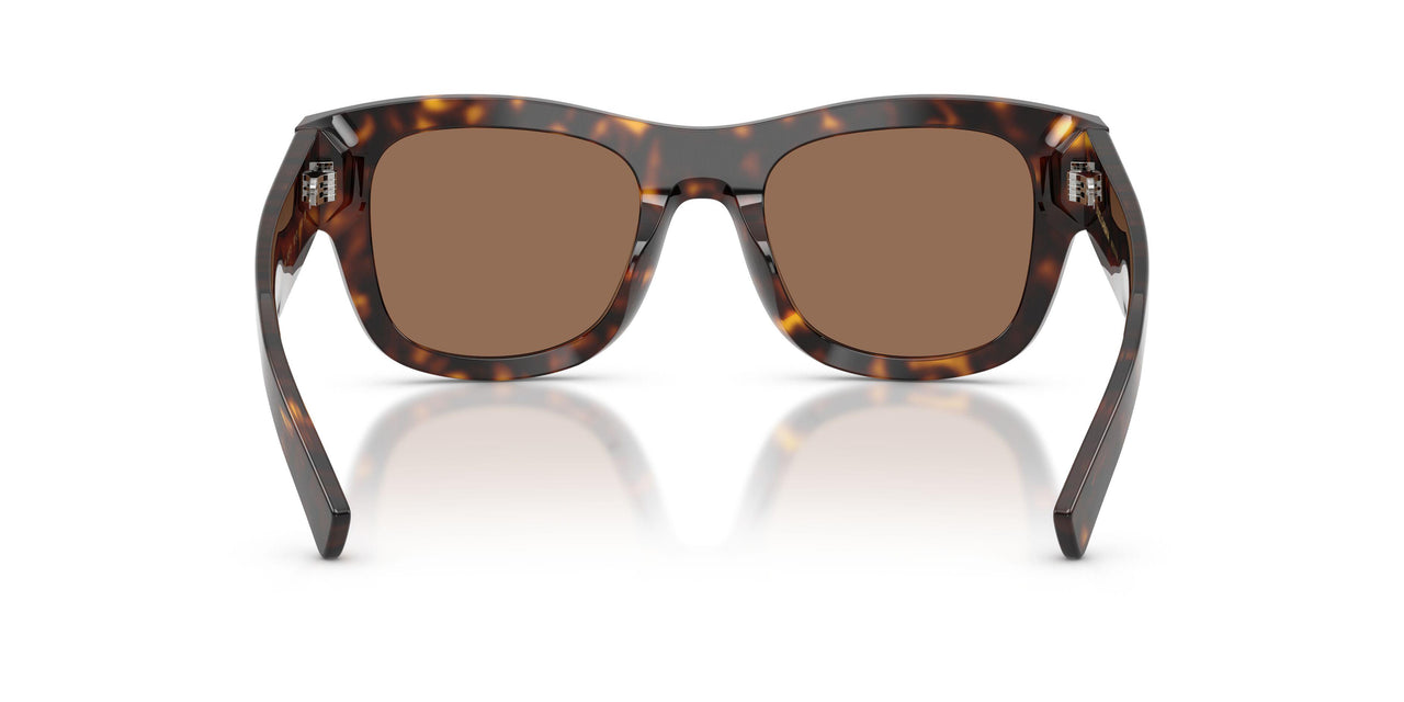 502/73 - Tortoise - Dark Brown