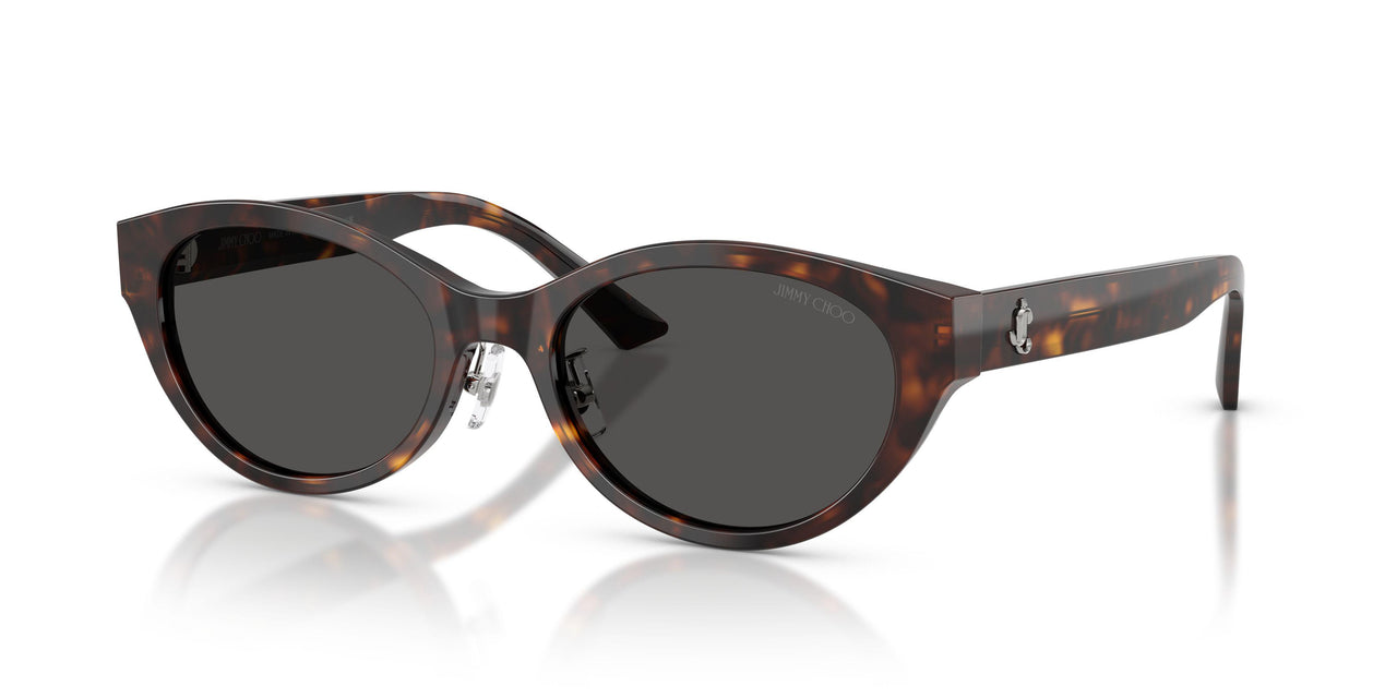 500287 - Tortoise - Dark Grey