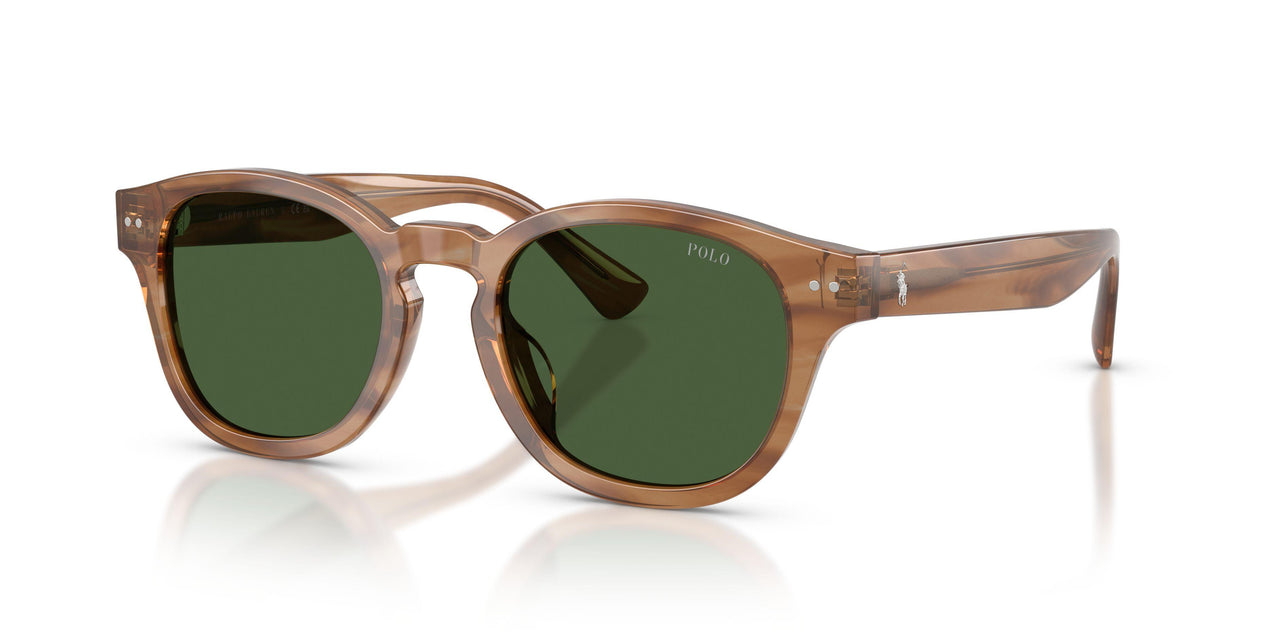 613871 - Brown - Bottle Green