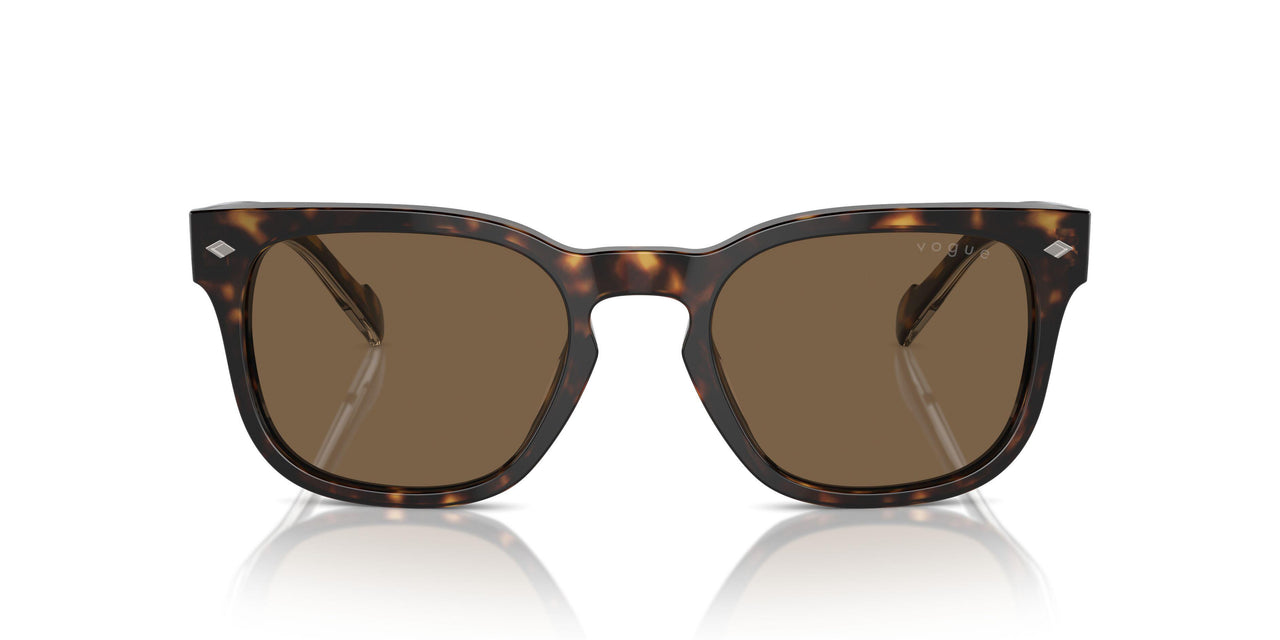 W65673 - Brown - Dark Brown