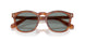 96/56 - Brown - Blue