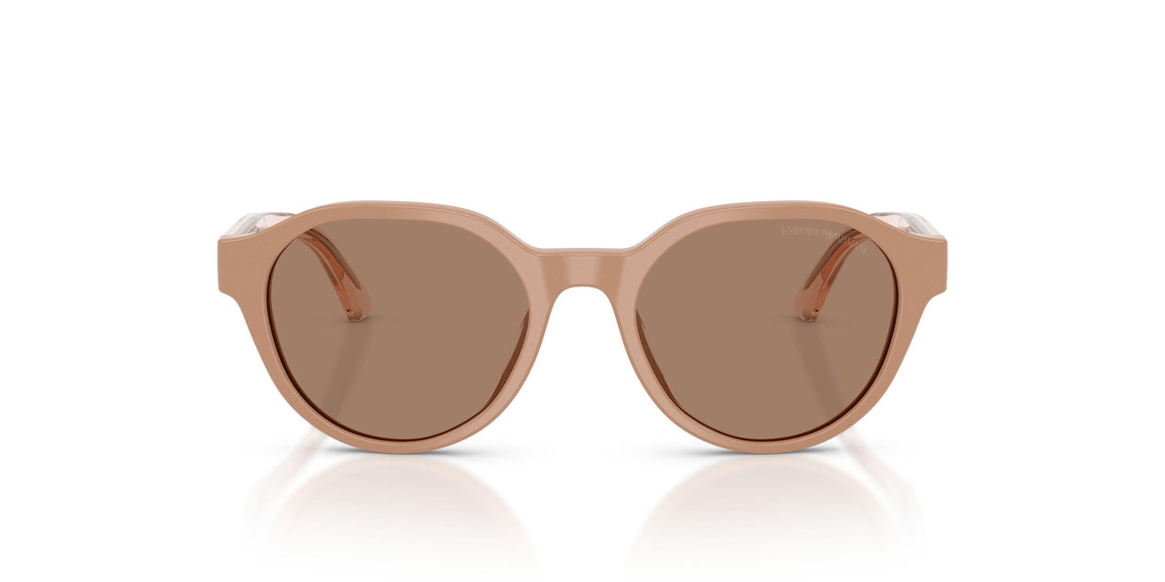 638473 - Brown - Dark Brown