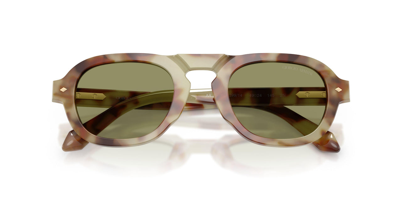 629914 - Tortoise - Green