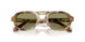 629914 - Tortoise - Green