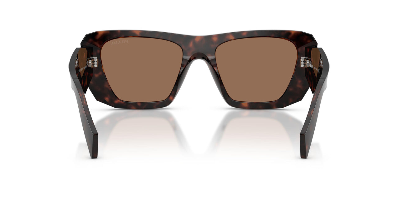 17N06B - Tortoise - Dark Brown