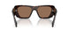 17N06B - Tortoise - Dark Brown