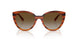 1508T5 - Brown - Grey Gradient Brown Polar