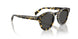 177887 - Tortoise - Grey