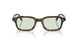 174121 - Tortoise - Fern Wash To Dark