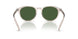 611771 - Brown - Bottle Green