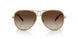 330413 - Gold - Brown Gradient
