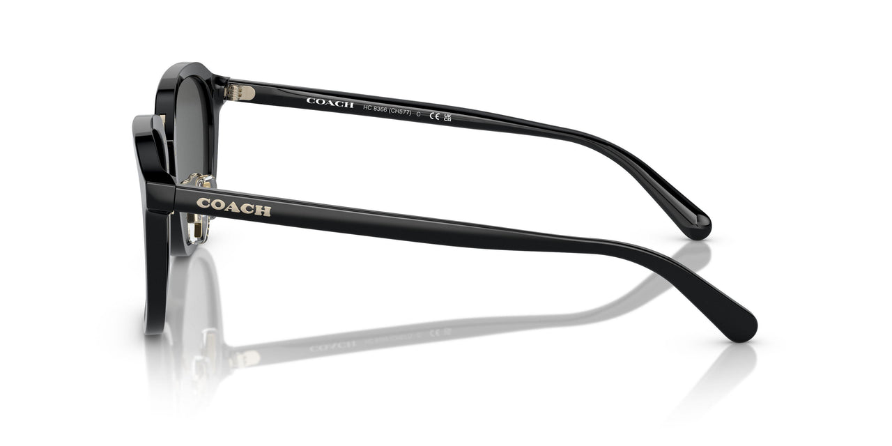 500287 - Black - Grey Solid