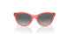 537711 - Pink - Gradient Grey
