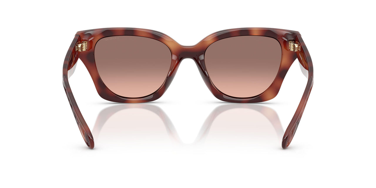 577413 - Tortoise - Brown Pink Gradient
