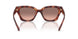 577413 - Tortoise - Brown Pink Gradient