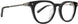 SpyOptic 570000 Eyeglasses