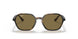 710/73 - Havana - Dark Brown