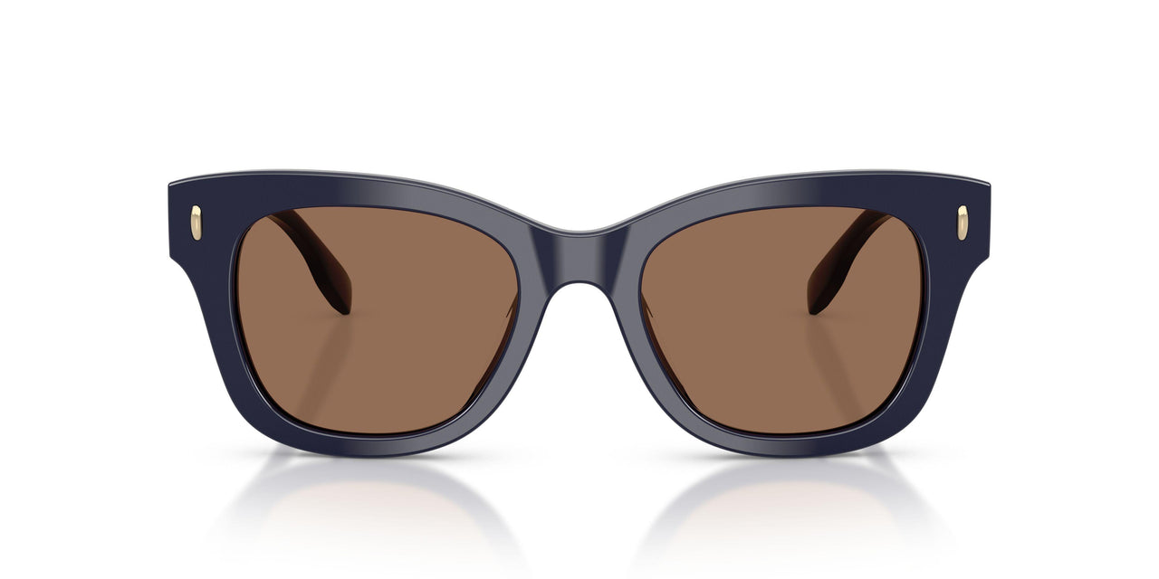 199373 - Blue - Solid Brown