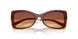 311378 - Brown - Brown Gradient